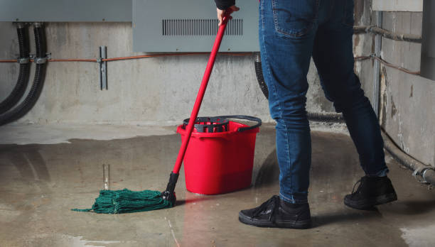 Best Local water damage restoration  in Weston, MO
