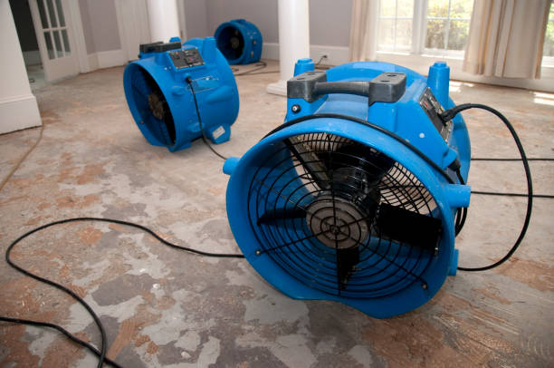 Best Flood damage cleanup  in Weston, MO