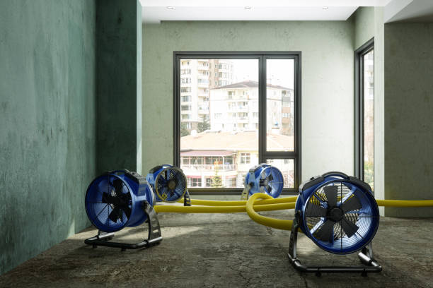 Best Water damage restoration mold remediation  in Weston, MO