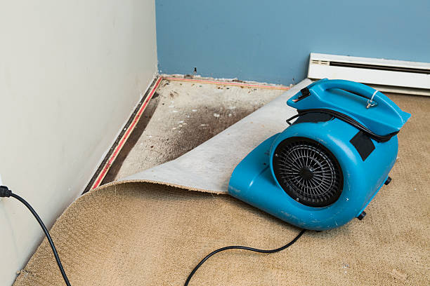 Best 24/7 water damage repair  in Weston, MO